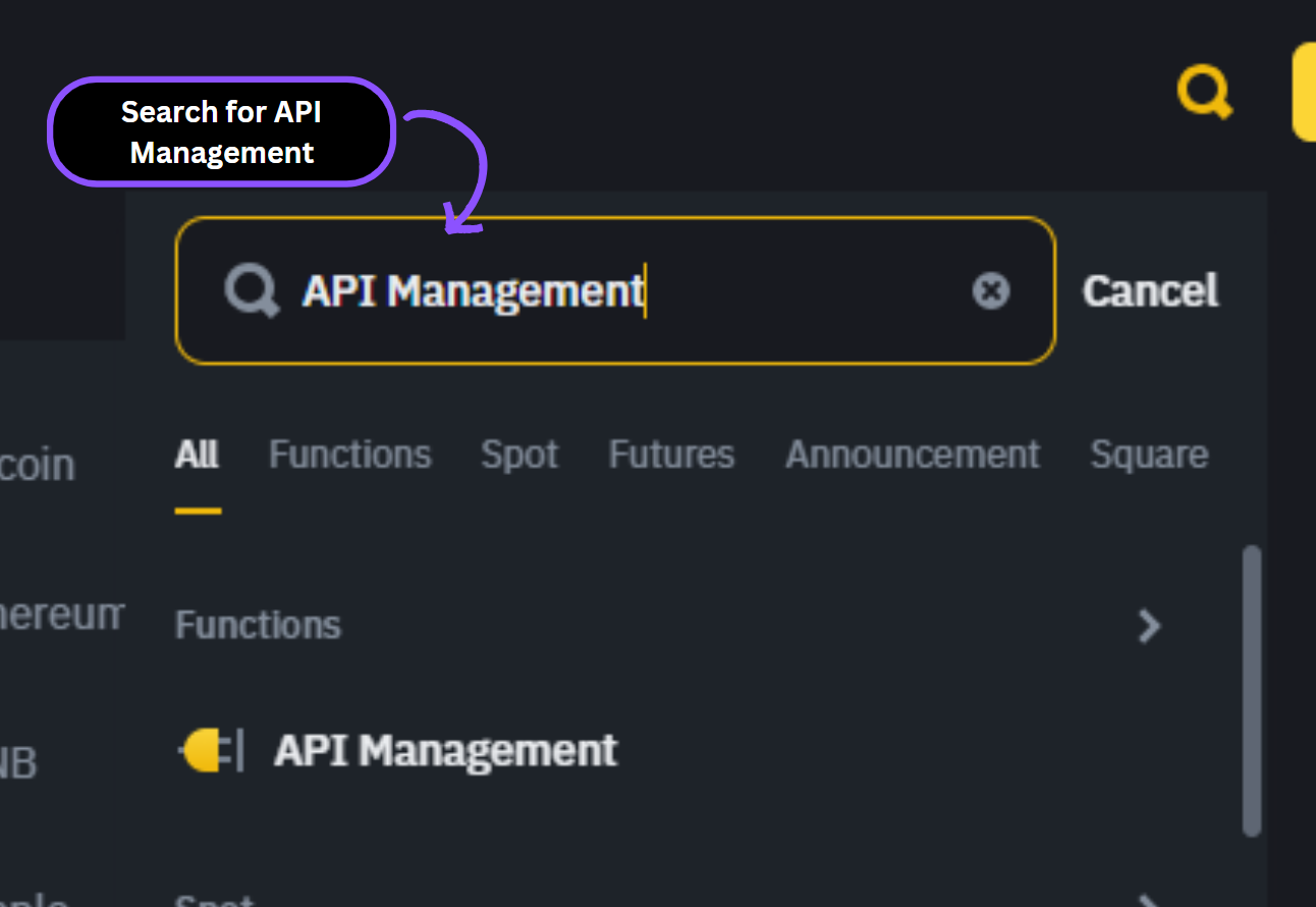 API Management